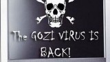 Gozi Virus